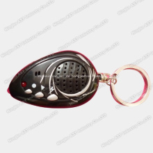 Voice Key Ring, Sound Keychain, Schlüsselbund, Voice Keychain
